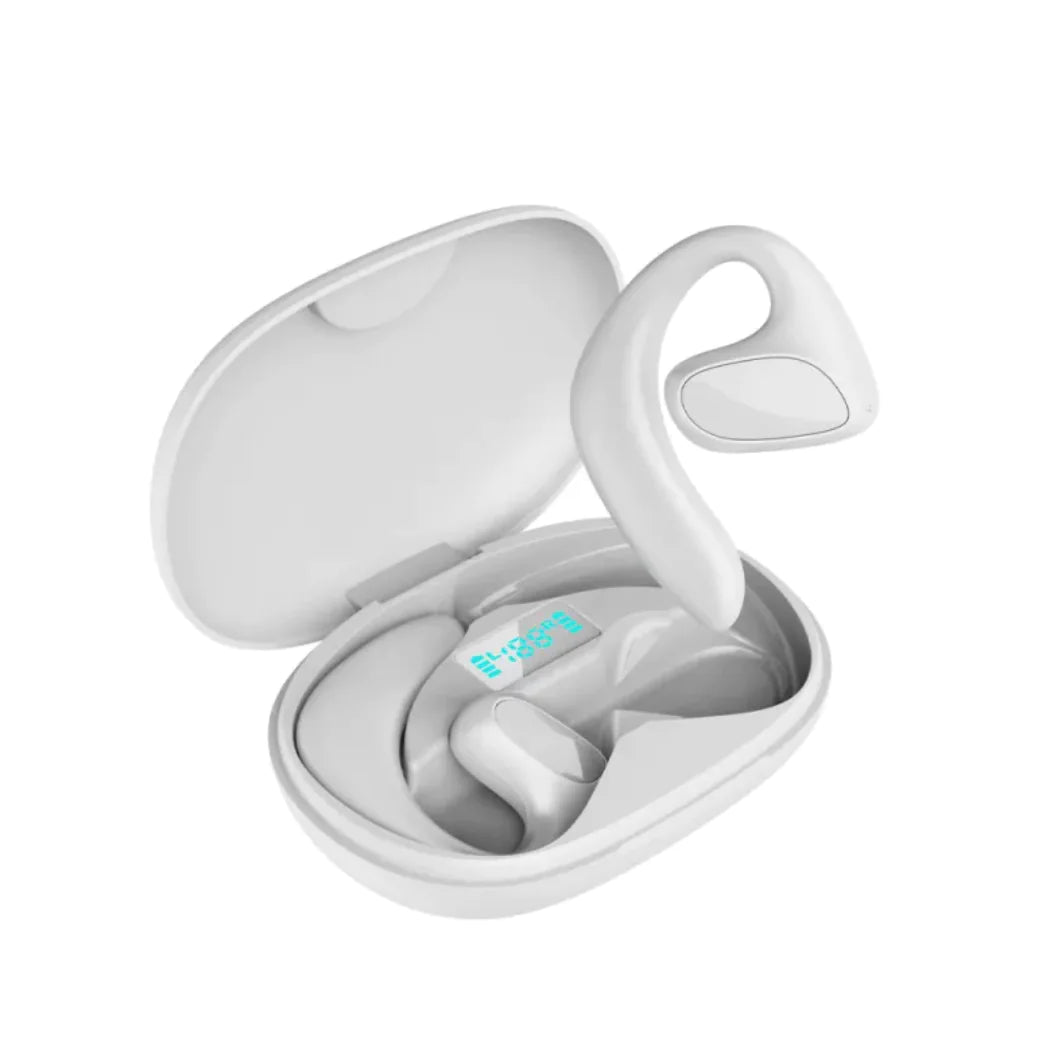 Bluetooth Smart Translation Earbuds